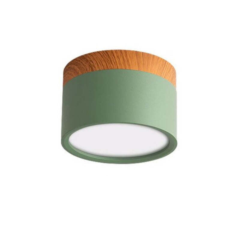 Morandi Style Modern LED Ceiling Lamp - LumiModo-Green-5W-Warm white-The Livary