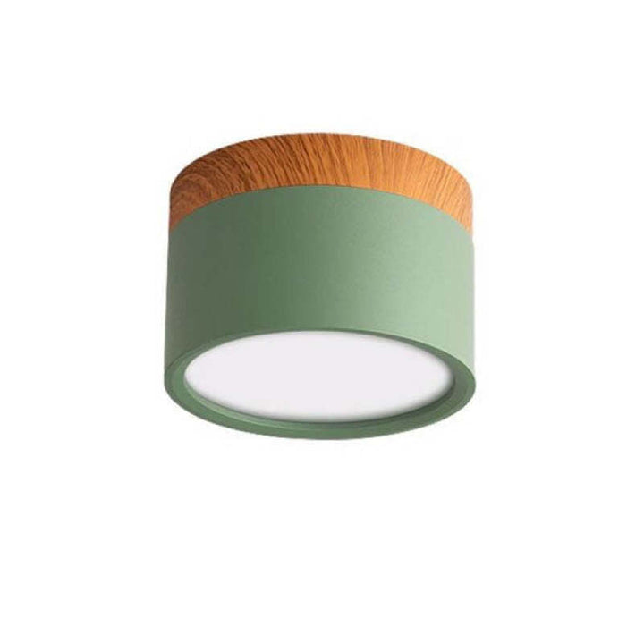 Morandi Style Modern LED Ceiling Lamp - LumiModo-Green-5W-Warm white-The Livary