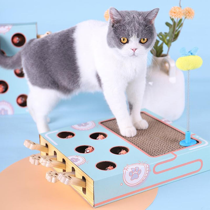 3-in-1 Interactive Cat Toy - WhiskerPlay-The Livary