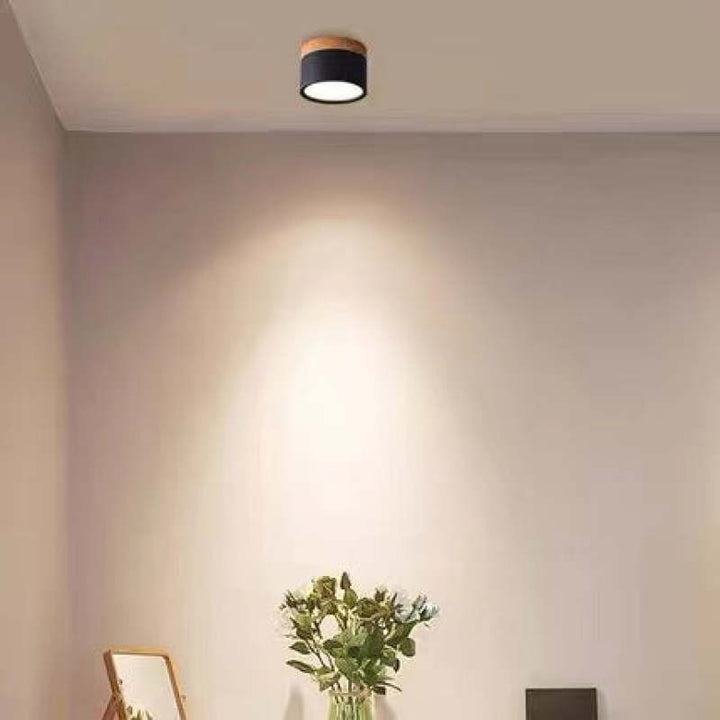 Morandi Style Modern LED Ceiling Lamp - LumiModo-Black-5W-Warm white-The Livary