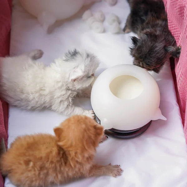 Compact Milk Bowl for Kittens - KittySip-Pink-The Livary