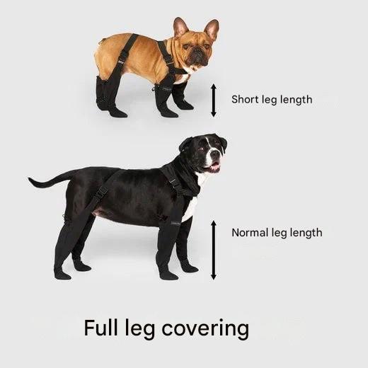 Boots for Safe Outdoor Adventures - PawShield-S-The Livary