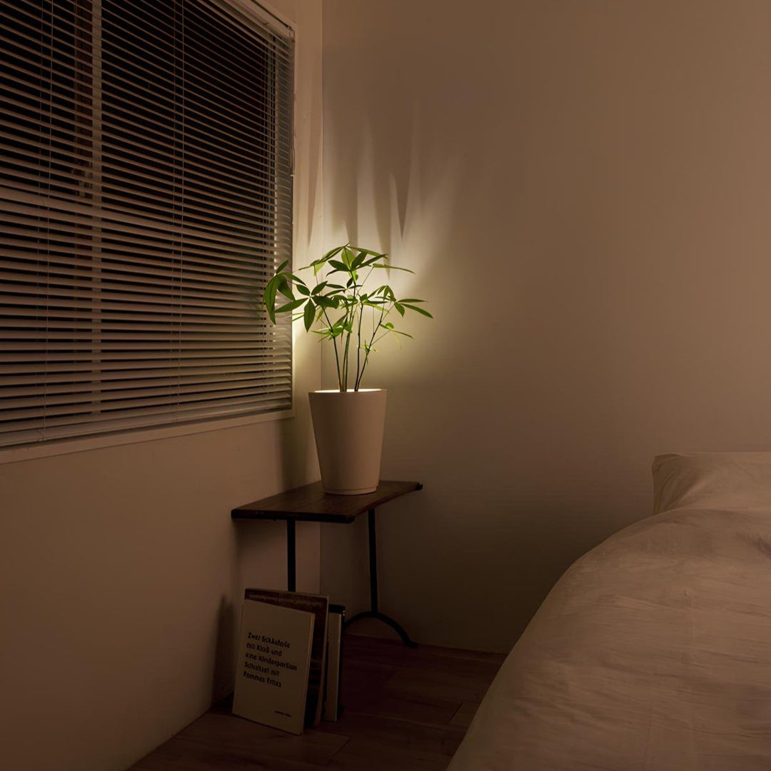 Wireless LED Spotlight - LumaSpot-2-White - AA Batteries-White-The Livary
