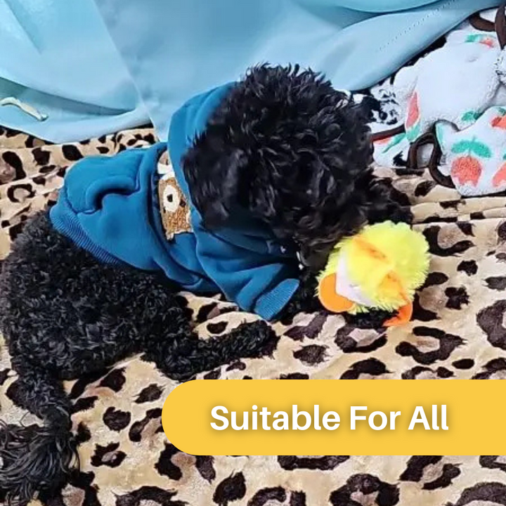 Flapping Duck Toy for Cats - DuckDash™ (1+1 FREE)-The Livary