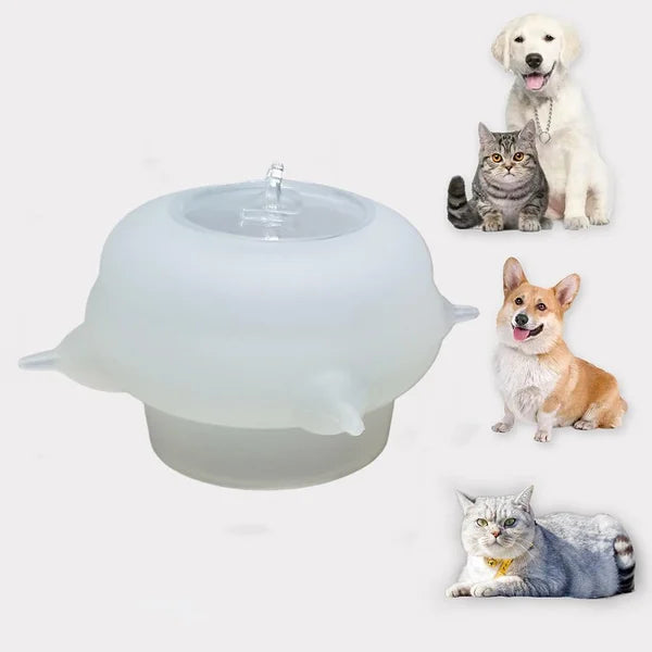 Compact Milk Bowl for Kittens - KittySip-Pink-The Livary