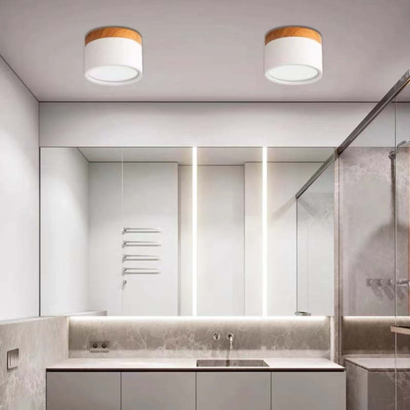 Morandi Style Modern LED Ceiling Lamp - LumiModo-Blue-5W-Warm white-The Livary