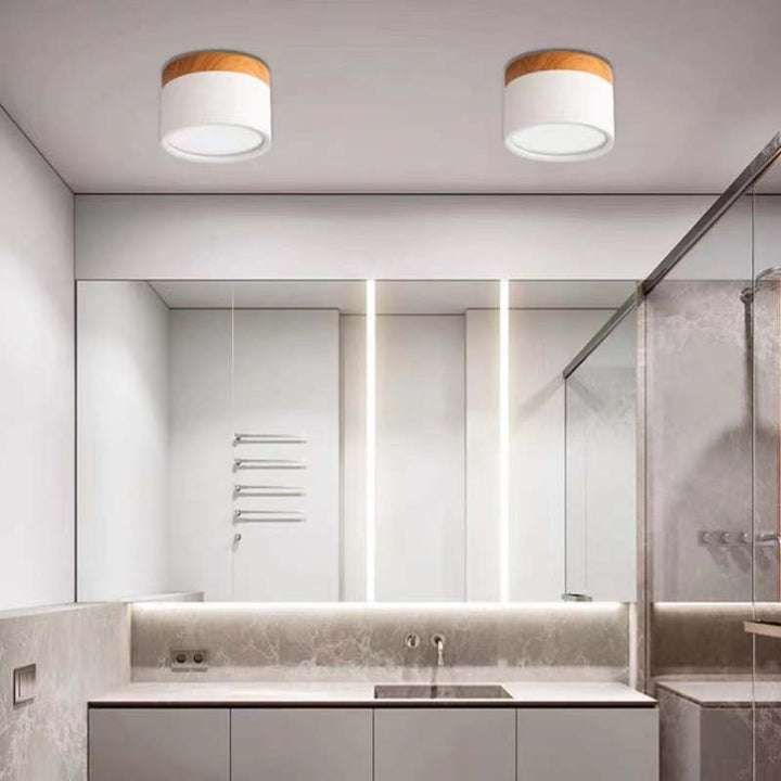 Morandi Style Modern LED Ceiling Lamp - LumiModo-Blue-5W-Warm white-The Livary