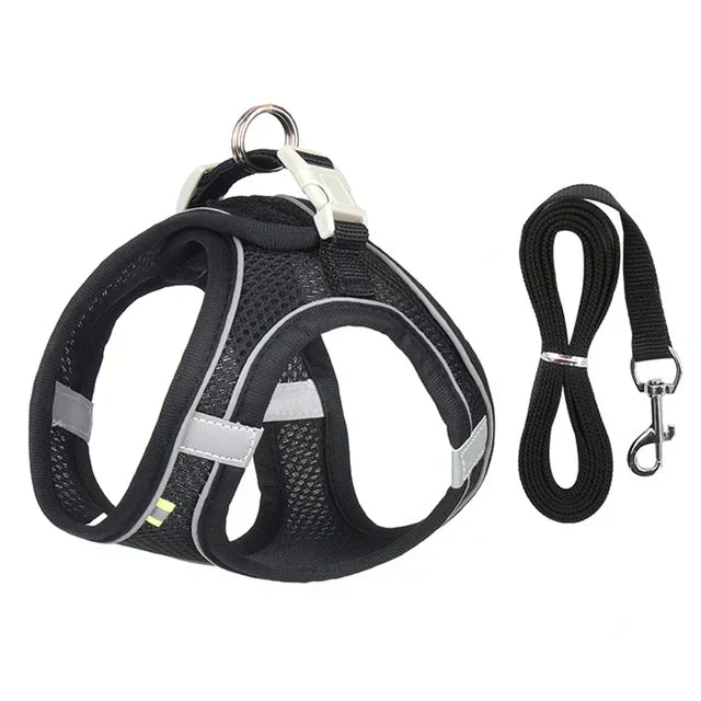Adjustable Cat Harness with Leash – WhiskerWander-Black-XS - 0.5 to 3 kg-The Livary