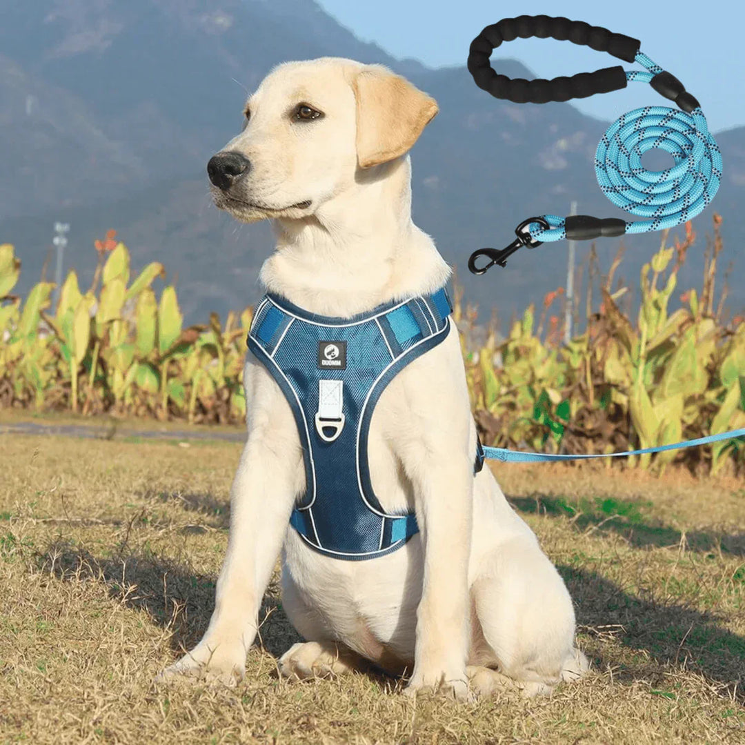Anti-Trek Dog Harness with Comfort Padding – PullFree-Blue-S (3-7 Kg)-The Livary