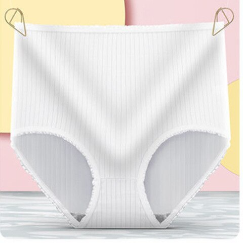 Leakproof High-Waisted Underwear – Camille (8-pack)-White-M-The Livary