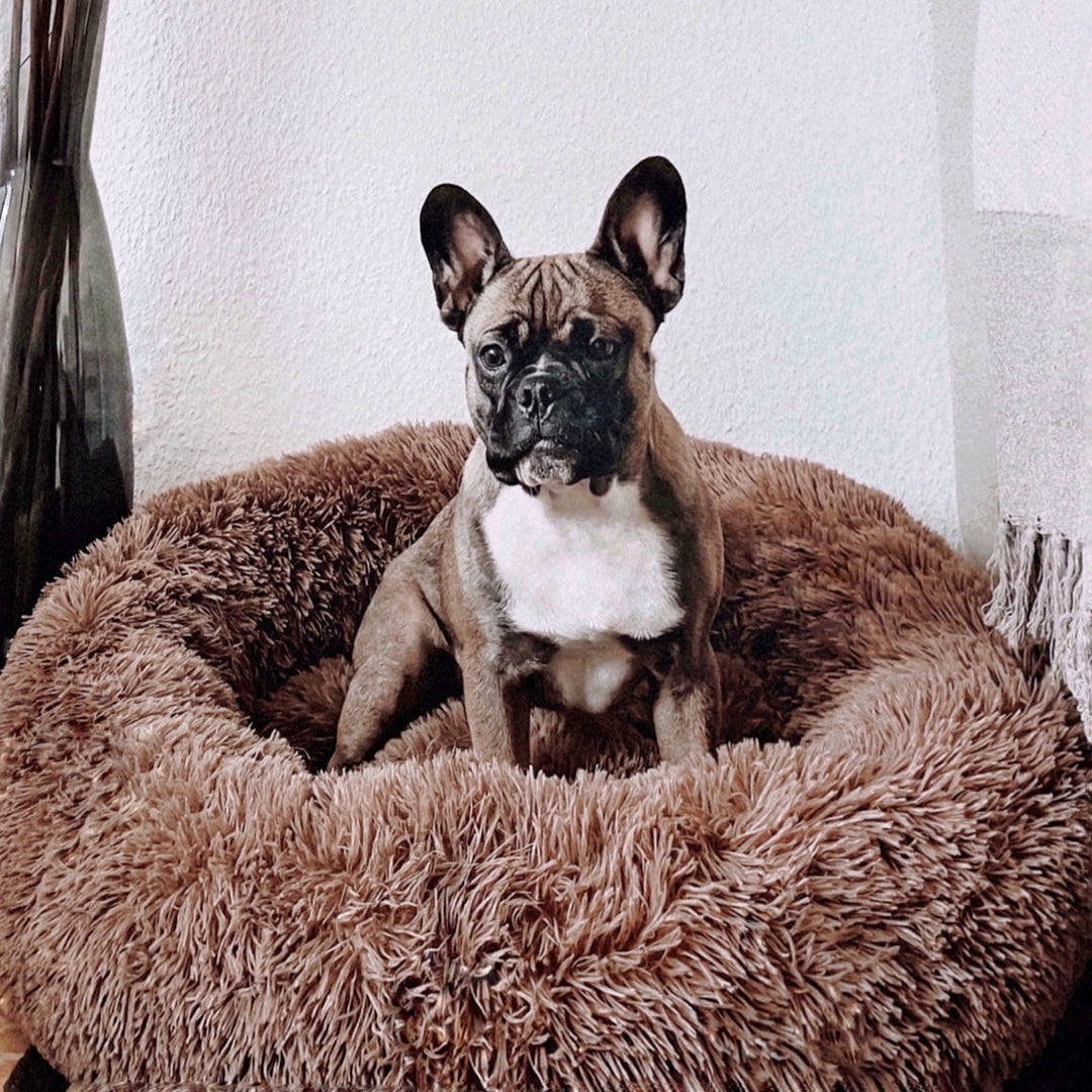 Dog Bed Fluffy Plus - The Original-Brown-XXS - 19.7in-The Livary