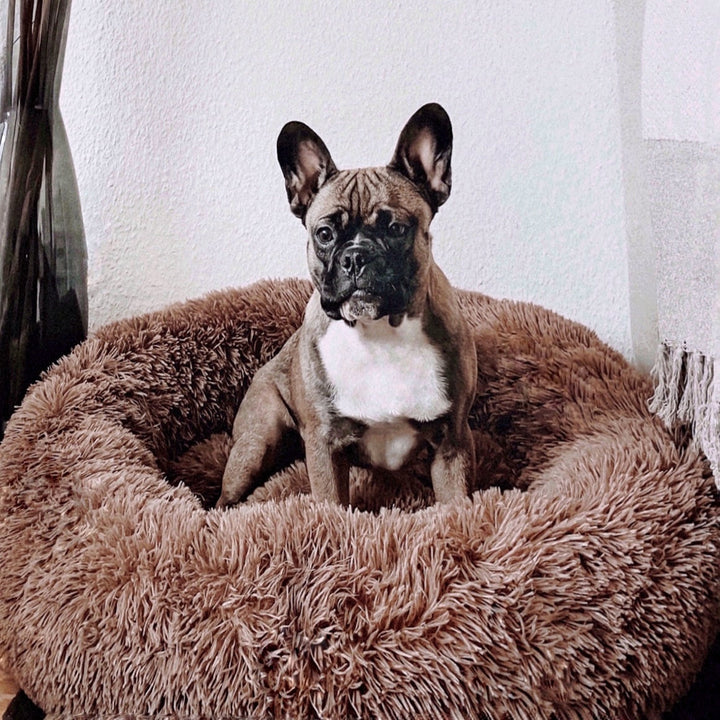 Dog Bed Fluffy Plus - The Original-Brown-XXS - 19.7in-The Livary