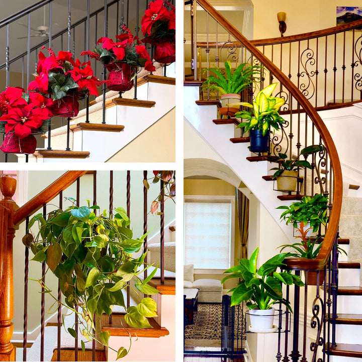 Hanging Railing Plant Holder – Balconia-The Livary