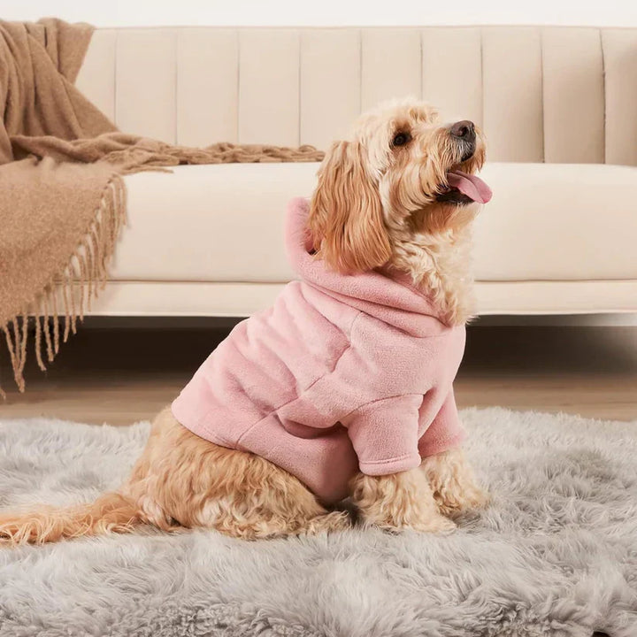 Hoodie Set for Bosses and Their Dogs - PawMatch-Small dog-The Livary