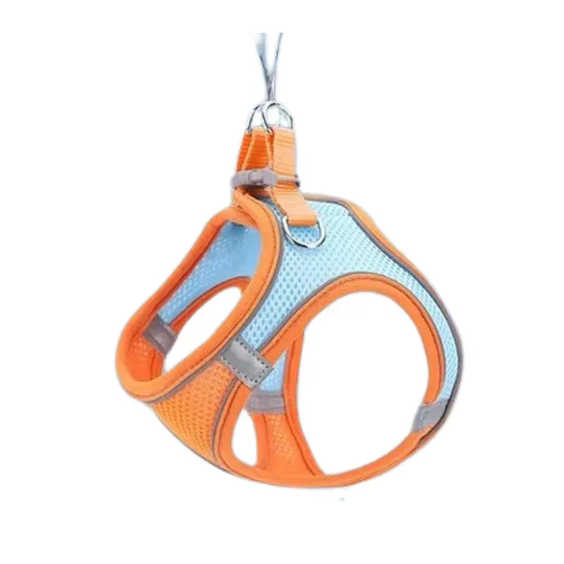 Adjustable Cat Harness with Leash – WhiskerWander-Orange-XS - 0.5 to 3 kg-The Livary