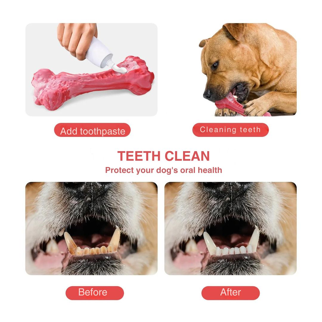 The Playful Dog Dentist - BuddyChew-S-The Livary