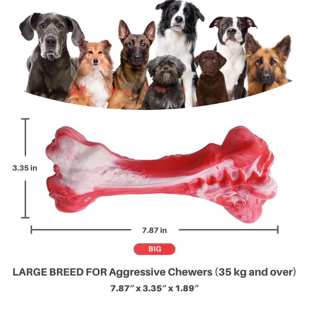 The Playful Dog Dentist - BuddyChew-S-The Livary