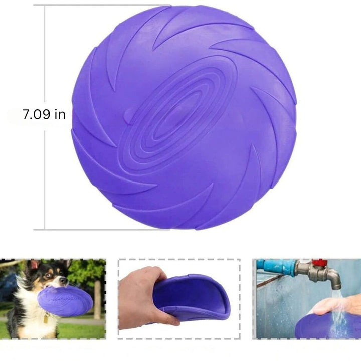 Flexible Dog Frisbee - FlexiFling (1+1 FREE)-Red-S - 5.91 IN Ø-The Livary