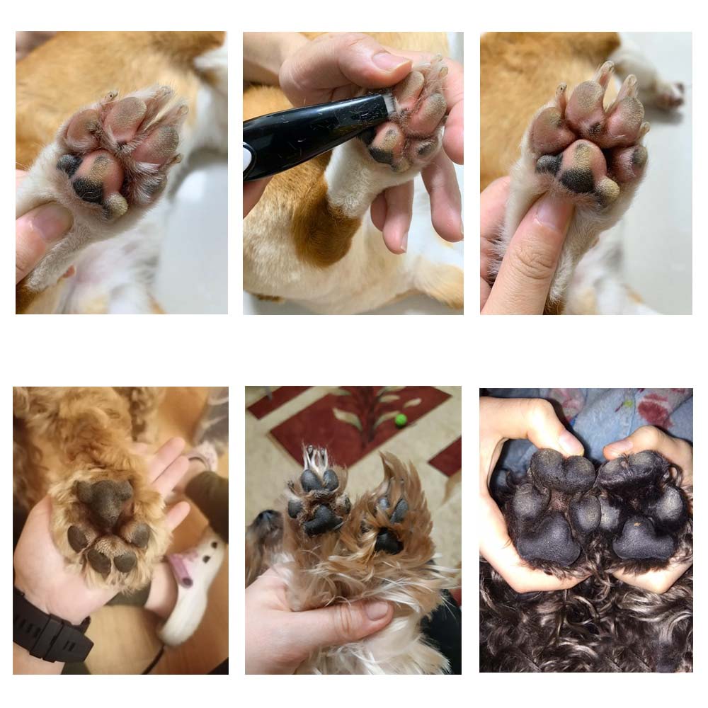 Pet Grooming Hair Clipper - PawPerfect-The Livary