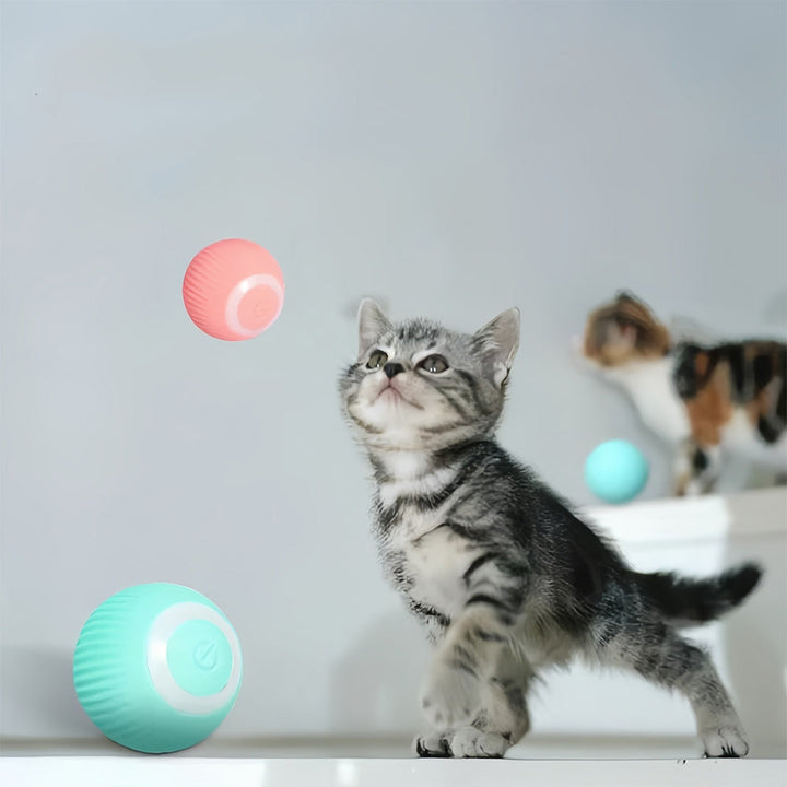 Interactive Moving Toy for Cats – WhiskRoll-Pink-The Livary