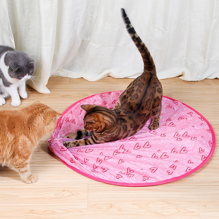 Interactive Moving Toy for Cats – WhiskRoll-Pink-The Livary