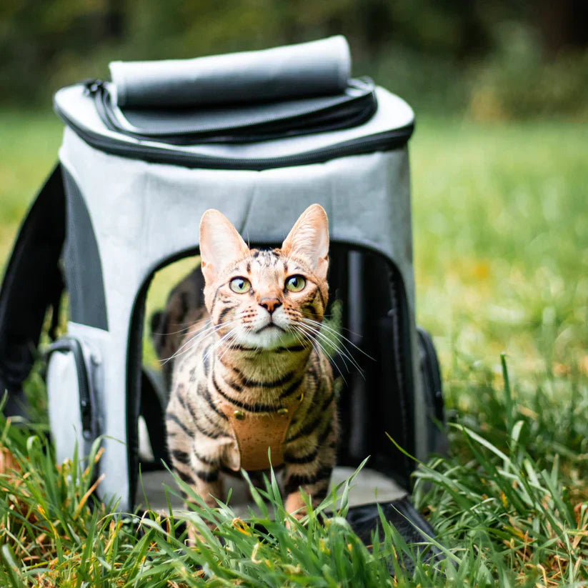 Cat backpack - PurrPack™-Grey-The Livary