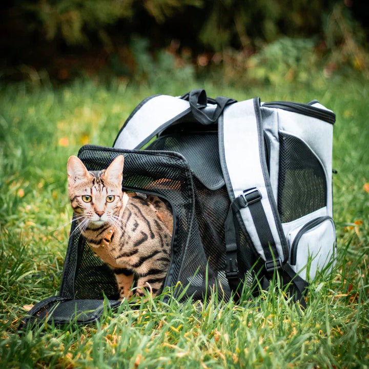 Cat backpack - PurrPack™-Grey-The Livary