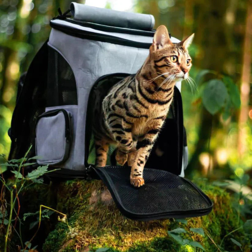 Cat backpack - PurrPack™-Grey-The Livary