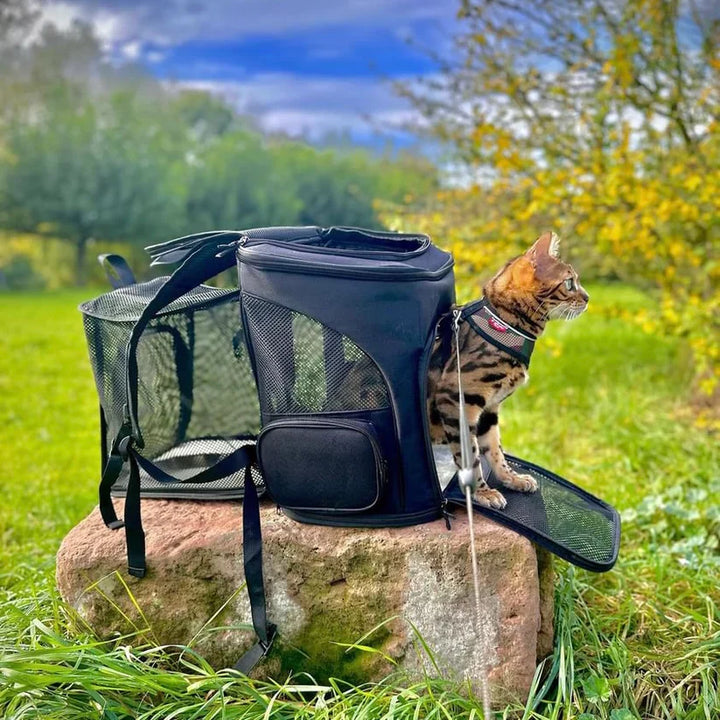 Cat backpack - PurrPack™-Grey-The Livary