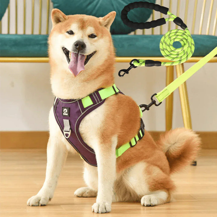 Anti-Trek Dog Harness with Comfort Padding – PullFree-Mauve-S (3-7 Kg)-The Livary