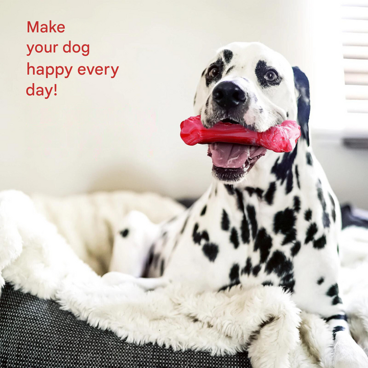 The Playful Dog Dentist - BuddyChew-S-The Livary