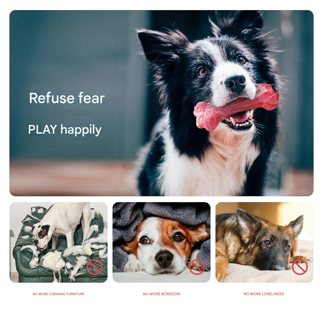 The Playful Dog Dentist - BuddyChew-S-The Livary