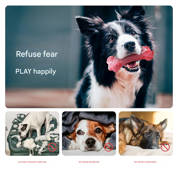 The Playful Dog Dentist - BuddyChew-S-The Livary