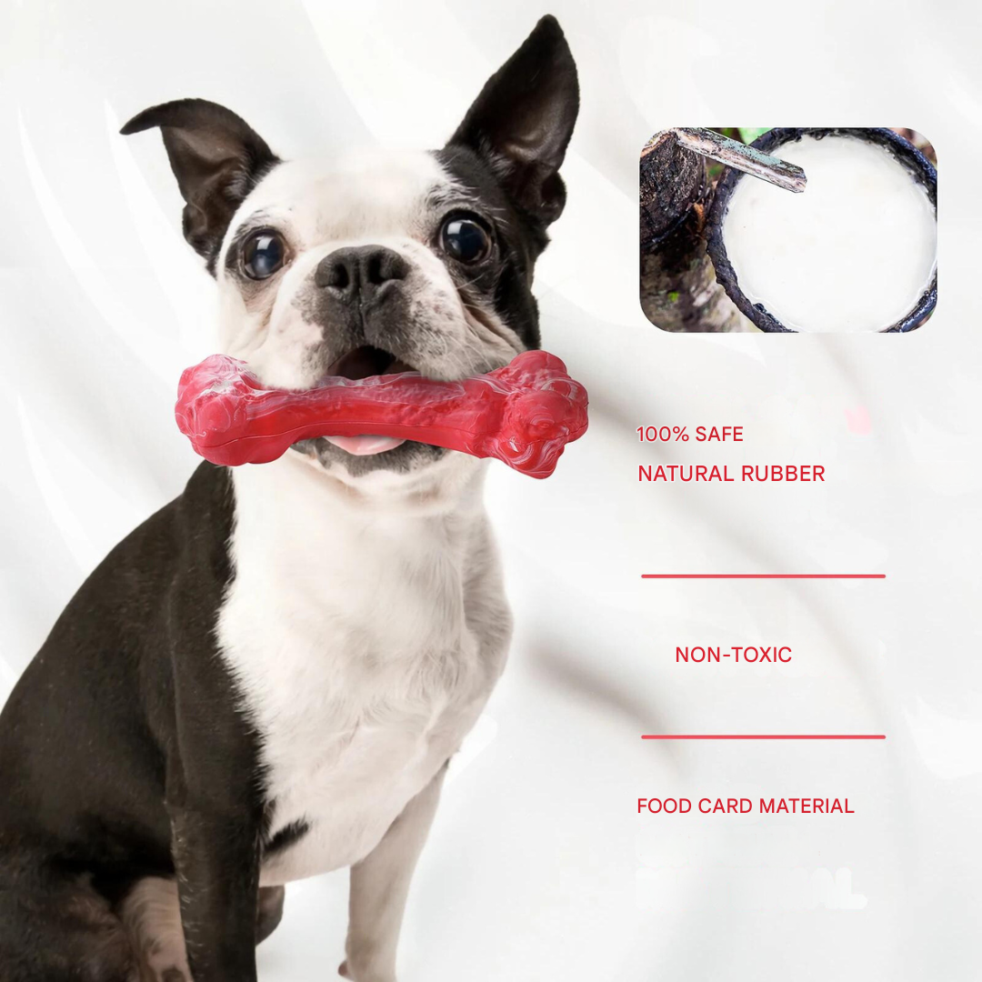 The Playful Dog Dentist - BuddyChew-S-The Livary