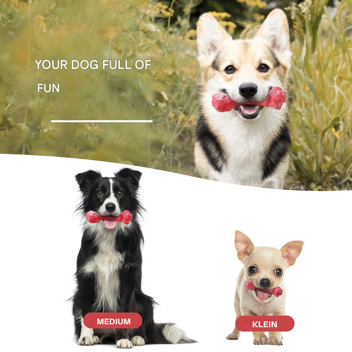 The Playful Dog Dentist - BuddyChew-S-The Livary