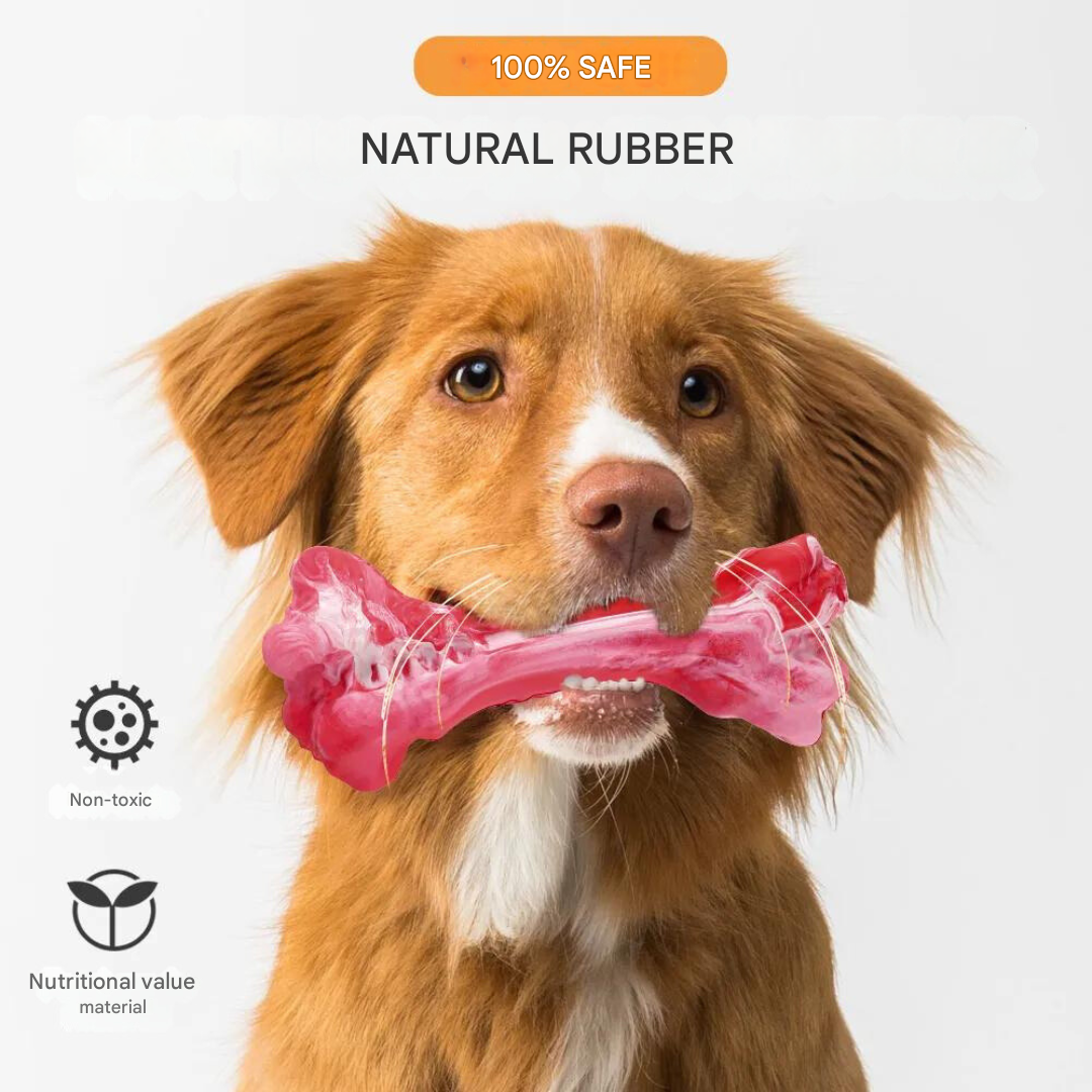 The Playful Dog Dentist - BuddyChew-S-The Livary