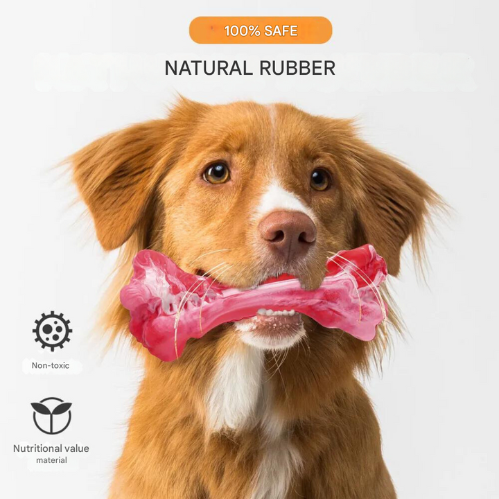 The Playful Dog Dentist - BuddyChew-S-The Livary