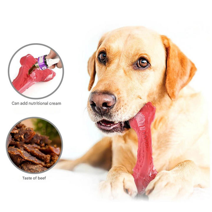 The Playful Dog Dentist - BuddyChew-S-The Livary
