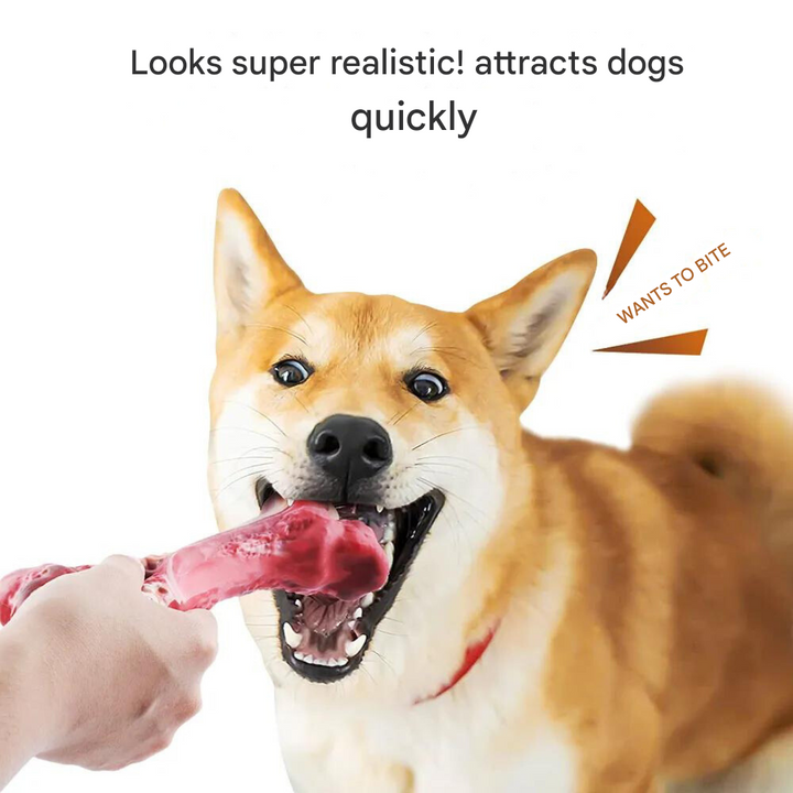 The Playful Dog Dentist - BuddyChew-S-The Livary