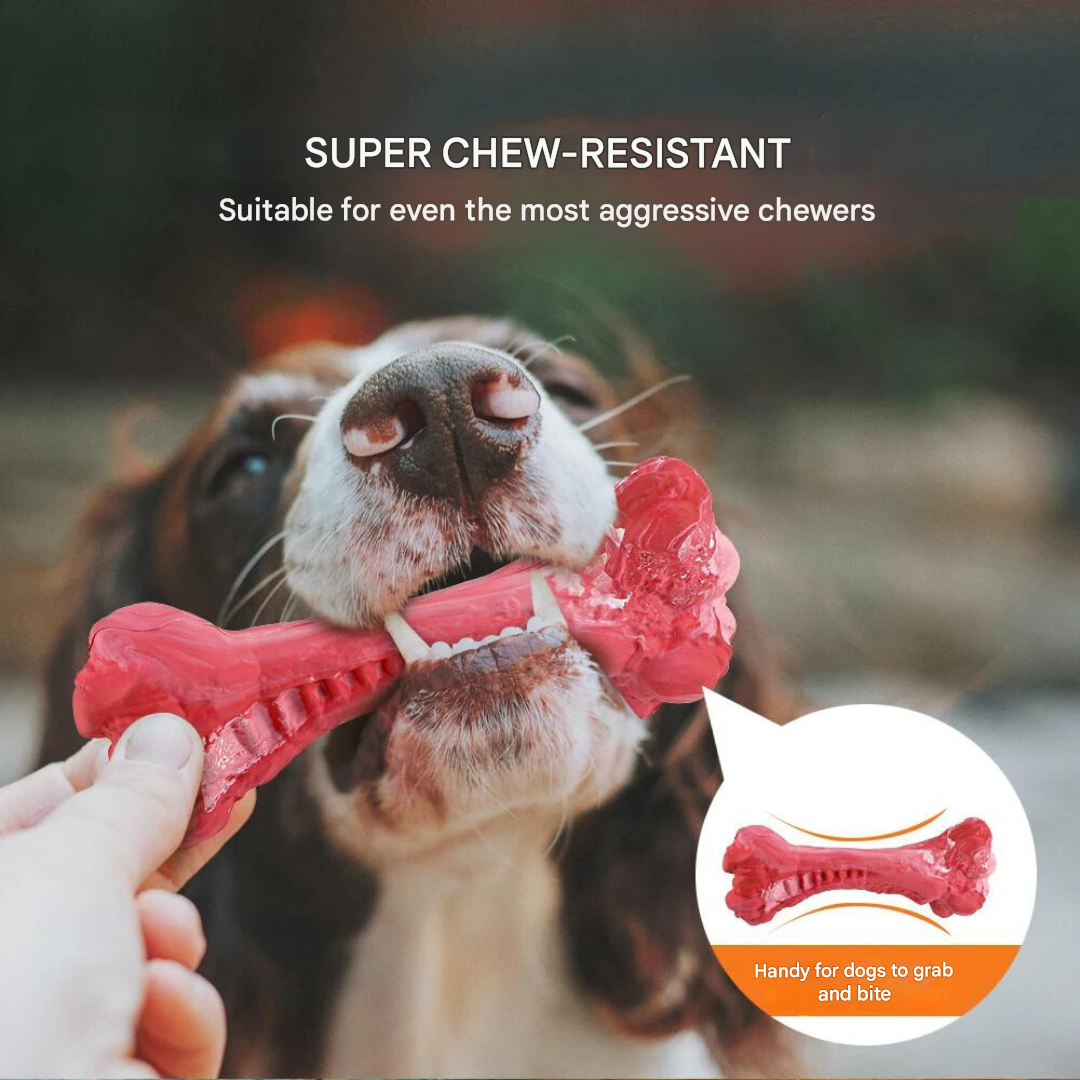 The Playful Dog Dentist - BuddyChew-S-The Livary