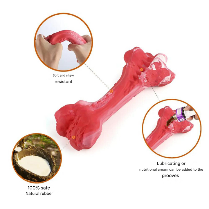 The Playful Dog Dentist - BuddyChew-S-The Livary