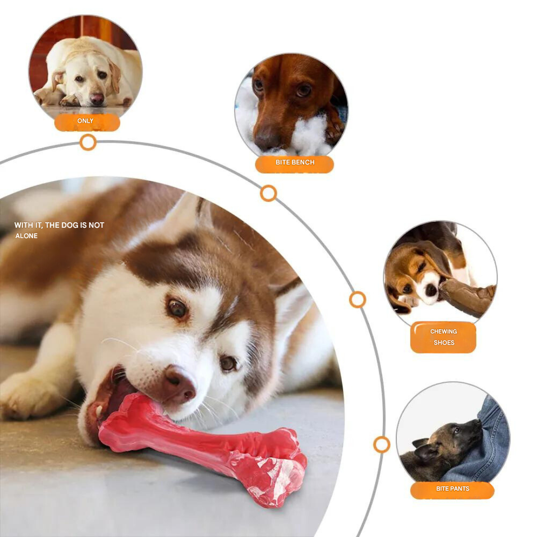 The Playful Dog Dentist - BuddyChew-S-The Livary