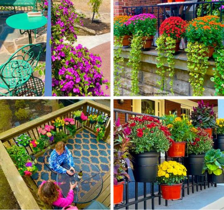 Hanging Railing Plant Holder – Balconia-The Livary