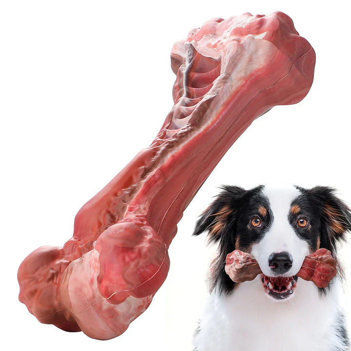 The Playful Dog Dentist - BuddyChew-S-The Livary