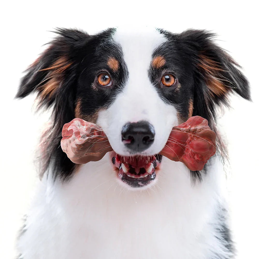 The Playful Dog Dentist - BuddyChew-S-The Livary