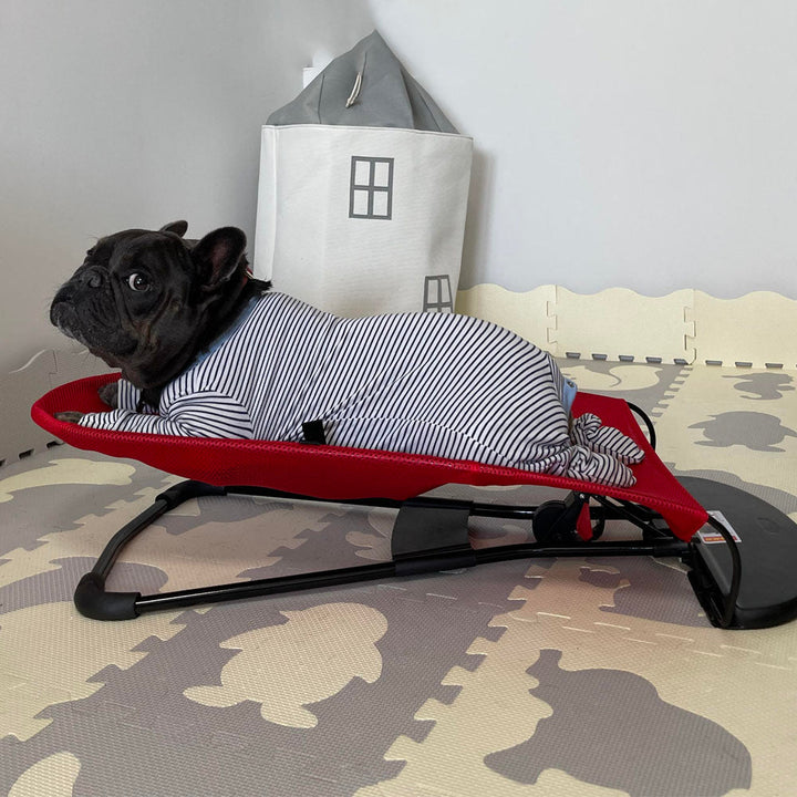 Luxury Dog Rocking Chair - Swingo-Red-The Livary