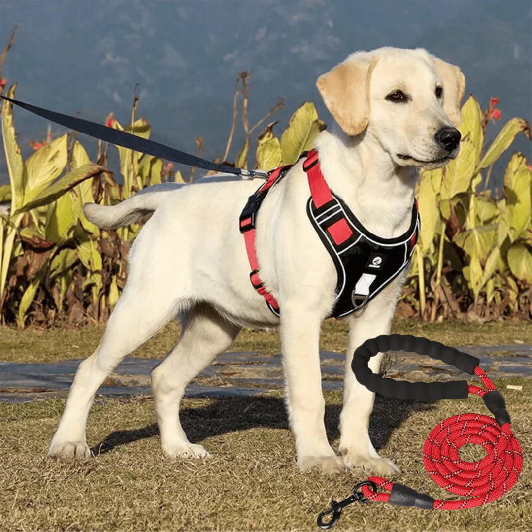 Anti-Trek Dog Harness with Comfort Padding – PullFree-Red-S (3-7 Kg)-The Livary