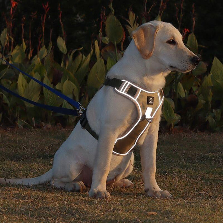Anti-Trek Dog Harness with Comfort Padding – PullFree-Blue-S (3-7 Kg)-The Livary
