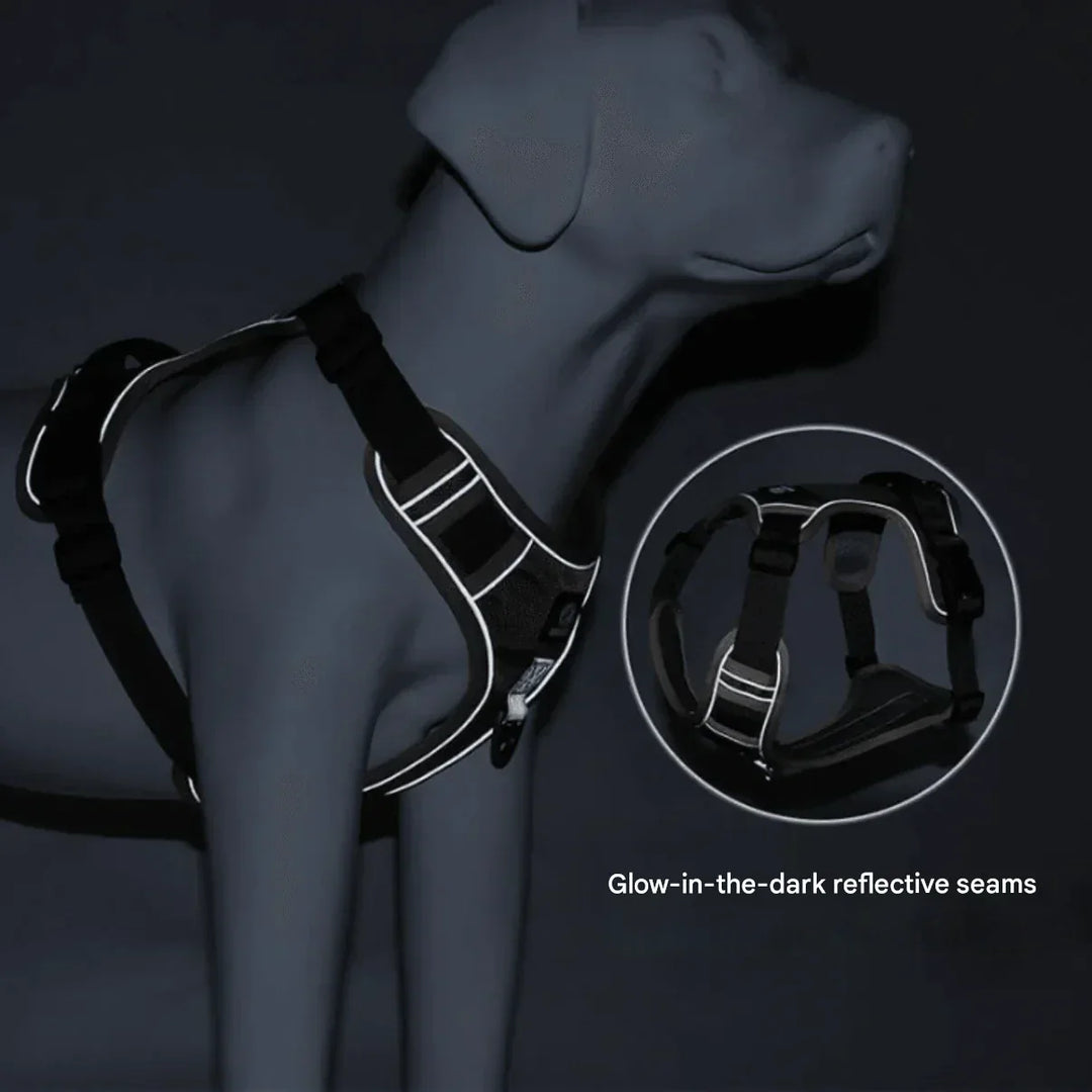 Anti-Trek Dog Harness with Comfort Padding – PullFree-Blue-S (3-7 Kg)-The Livary
