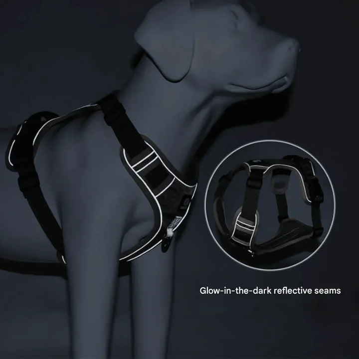 Anti-Trek Dog Harness with Comfort Padding – PullFree-Blue-S (3-7 Kg)-The Livary